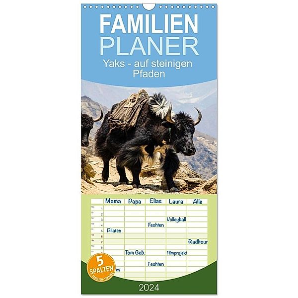 Familienplaner 2024 - Yaks - auf steinigen Pfaden mit 5 Spalten (Wandkalender, 21 x 45 cm) CALVENDO, Renate Utz