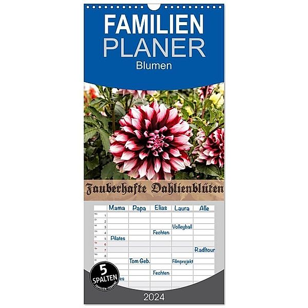 Familienplaner 2024 - Zauberhafte Dahlienblüten mit 5 Spalten (Wandkalender, 21 x 45 cm) CALVENDO, Helmut Schneller