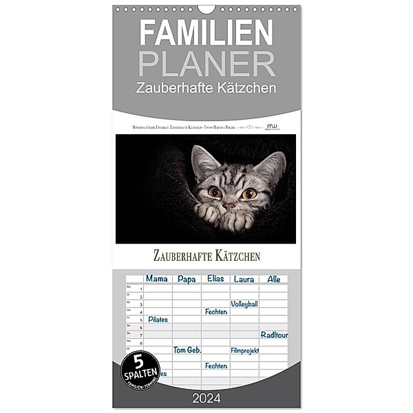 Familienplaner 2024 - Zauberhafte Kätzchen mit 5 Spalten (Wandkalender, 21 x 45 cm) CALVENDO, Martina Wrede