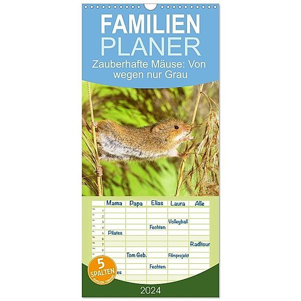 Familienplaner 2024 - Zauberhafte Mäuse: Von wegen nur Grau mit 5 Spalten (Wandkalender, 21 x 45 cm) CALVENDO, Calvendo