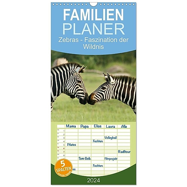 Familienplaner 2024 - Zebras - Faszination der Wildnis mit 5 Spalten (Wandkalender, 21 x 45 cm) CALVENDO, Nadine Haase