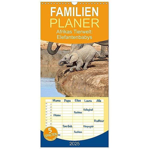 Familienplaner 2025 - Afrikas Tierwelt: Elefantenbabys mit 5 Spalten (Wandkalender, 21 x 45 cm) CALVENDO, Calvendo, Michael Voß