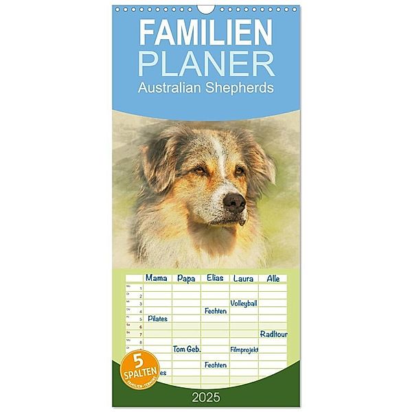 Familienplaner 2025 - Australian Shepherds 2025 mit 5 Spalten (Wandkalender, 21 x 45 cm) CALVENDO, Calvendo, Andrea Redecker