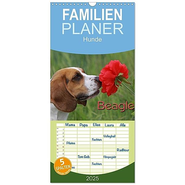 Familienplaner 2025 - Beagle mit 5 Spalten (Wandkalender, 21 x 45 cm) CALVENDO, Calvendo, Pferdografen.de