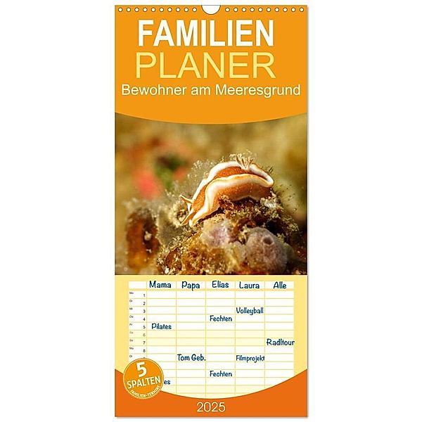 Familienplaner 2025 - Bewohner am Meeresgrund mit 5 Spalten (Wandkalender, 21 x 45 cm) CALVENDO, Calvendo, Bianca Schumann