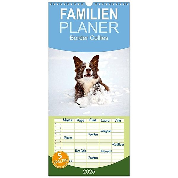 Familienplaner 2025 - Border Collies mit 5 Spalten (Wandkalender, 21 x 45 cm) CALVENDO, Calvendo, Hermann Greiling