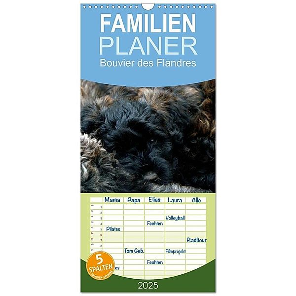 Familienplaner 2025 - Bouvier des Flandres mit 5 Spalten (Wandkalender, 21 x 45 cm) CALVENDO, Calvendo, Susan Milau