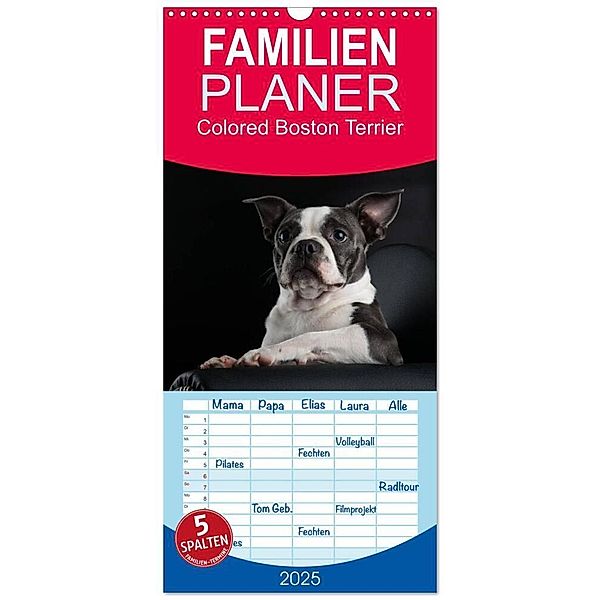 Familienplaner 2025 - Colored Boston Terrier 2025 mit 5 Spalten (Wandkalender, 21 x 45 cm) CALVENDO, Calvendo, Nicola Kassat Fotografie