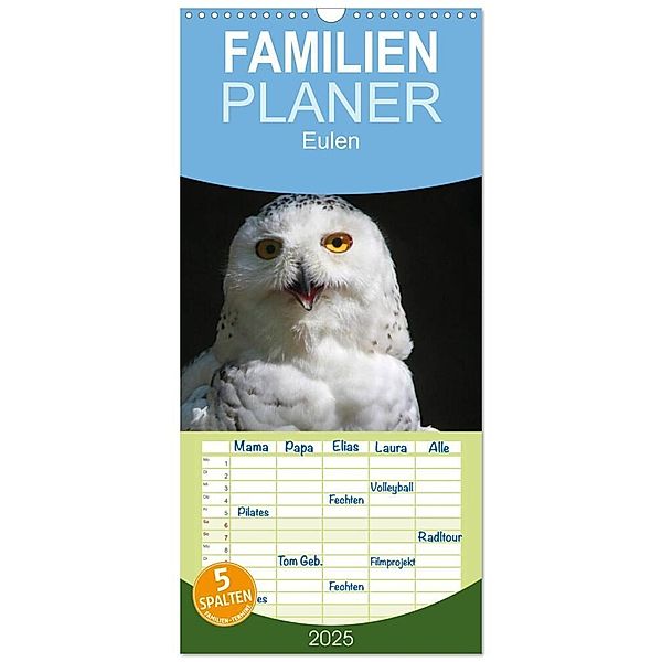Familienplaner 2025 - Eulen mit 5 Spalten (Wandkalender, 21 x 45 cm) CALVENDO, Calvendo, Antje Lindert-Rottke