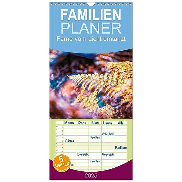 Familienplaner 2025 - Farne vom Licht umtanzt mit 5 Spalten (Wandkalender, 21 x 45 cm) CALVENDO, Calvendo, Nicc Koch