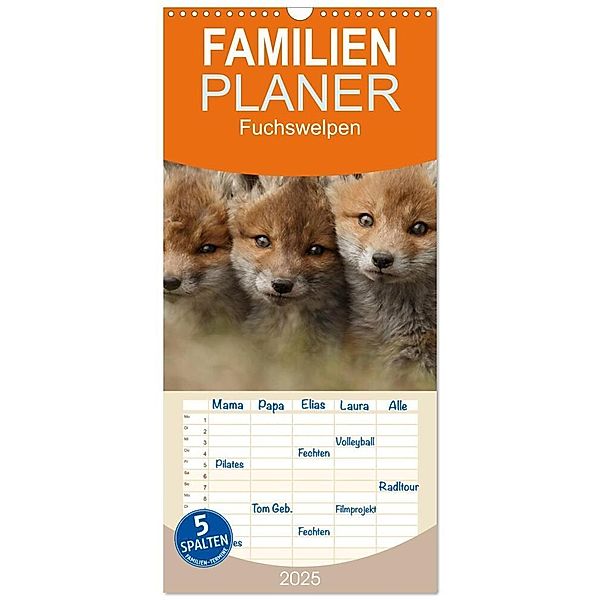 Familienplaner 2025 - Fuchswelpen mit 5 Spalten (Wandkalender, 21 x 45 cm) CALVENDO, Calvendo, Gabi Marklein
