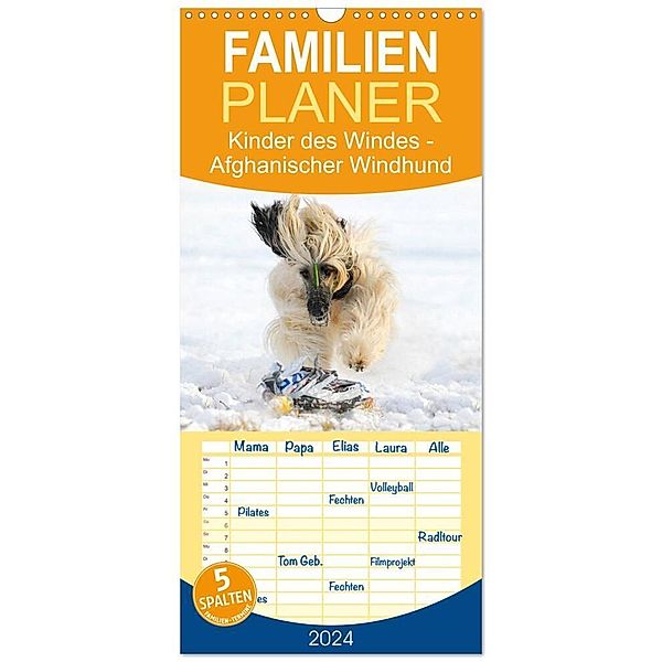 Familienplaner 2025 - Kinder des Windes - Afghanischer Windhund mit 5 Spalten (Wandkalender, 21 x 45 cm) CALVENDO, Calvendo, Sigrid Starick