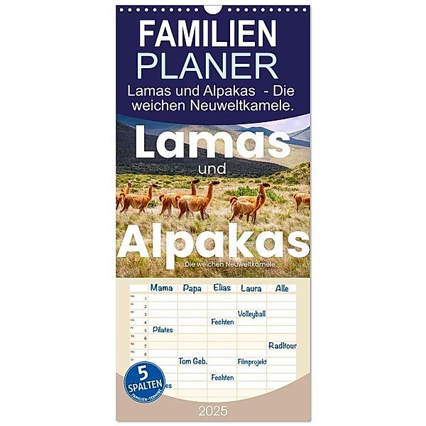 Familienplaner 2025 - Lamas und Alpakas - Die weichen Neuweltkamele. mit 5 Spalten (Wandkalender, 21 x 45 cm) CALVENDO, Calvendo, SF