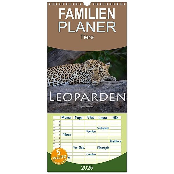 Familienplaner 2025 - Leoparden - gross und klein mit 5 Spalten (Wandkalender, 21 x 45 cm) CALVENDO, Calvendo, Robert Styppa