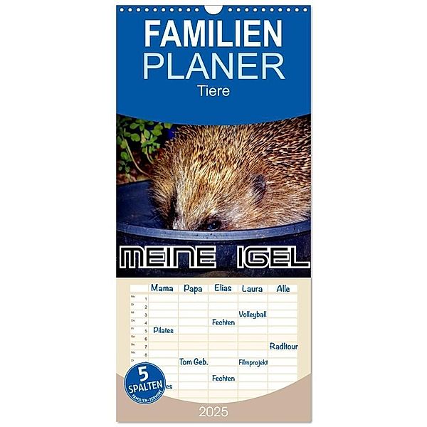 Familienplaner 2025 - Meine Igel mit 5 Spalten (Wandkalender, 21 x 45 cm) CALVENDO, Calvendo, Henning von Löwis of Menar