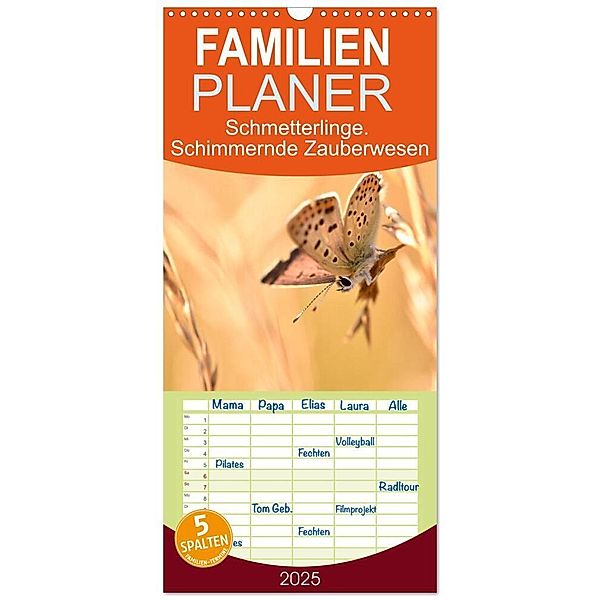 Familienplaner 2025 - Schmetterlinge. Schimmernde Zauberwesen mit 5 Spalten (Wandkalender, 21 x 45 cm) CALVENDO, Calvendo, Aneta Zofia Brinker