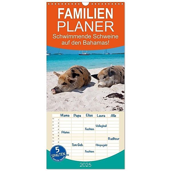 Familienplaner 2025 - Schwimmende Schweine auf den Bahamas! mit 5 Spalten (Wandkalender, 21 x 45 cm) CALVENDO, Calvendo, Elisabeth Stanzer