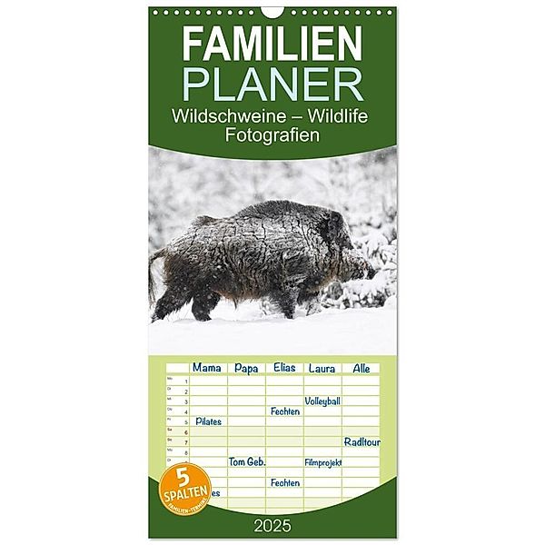 Familienplaner 2025 - Wildschweine - Wildlife Fotografien mit 5 Spalten (Wandkalender, 21 x 45 cm) CALVENDO, Calvendo, Michael Breuer