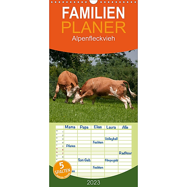 Familienplaner Alpenfleckvieh (Wandkalender 2023 , 21 cm x 45 cm, hoch), Karolina Gasteiger
