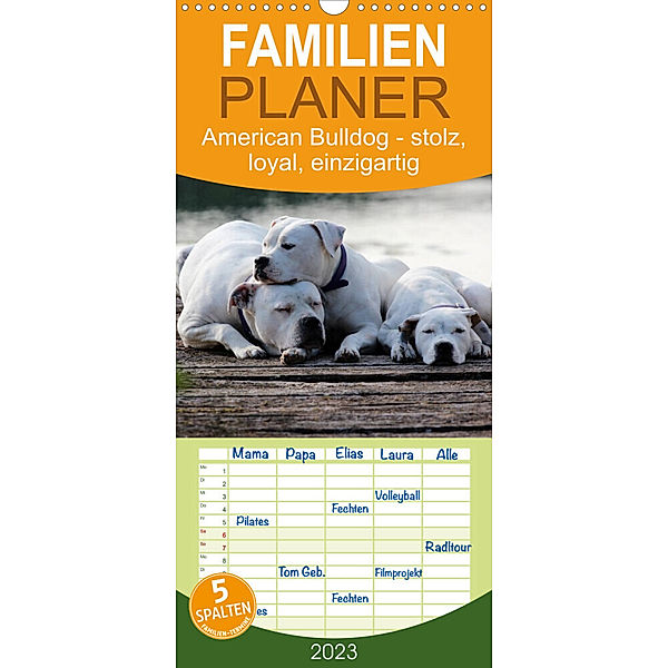 Familienplaner American Bulldog - stolz, loyal, einzigartig (Wandkalender 2023 , 21 cm x 45 cm, hoch), Denise Schmöhl