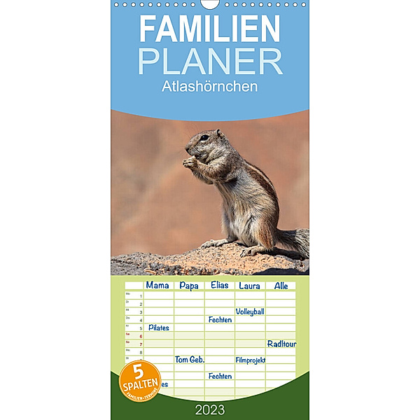 Familienplaner Atlashörnchen (Wandkalender 2023 , 21 cm x 45 cm, hoch), Denny Hildenbrandt