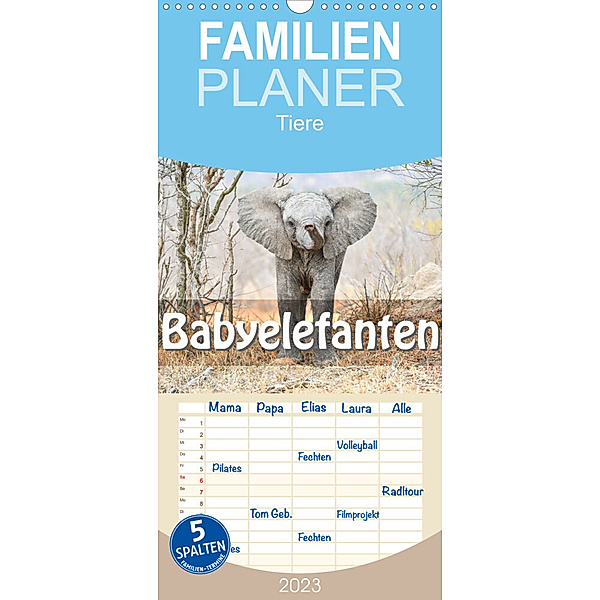 Familienplaner Babyelefanten (Wandkalender 2023 , 21 cm x 45 cm, hoch), Robert Styppa