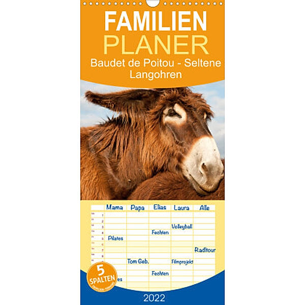 Familienplaner Baudet de Poitou - Seltene Langohren (Wandkalender 2022 , 21 cm x 45 cm, hoch), Meike Bölts