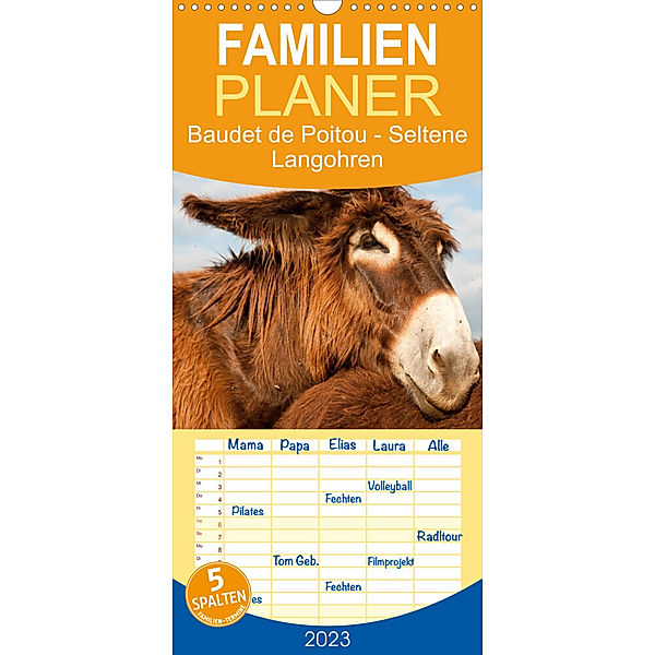 Familienplaner Baudet de Poitou - Seltene Langohren (Wandkalender 2023 , 21 cm x 45 cm, hoch), Meike Bölts