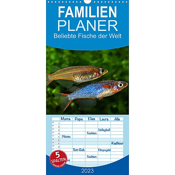 Familienplaner Beliebte Fische der Welt (Wandkalender 2023 , 21 cm x 45 cm, hoch), Rudolf Pohlmann