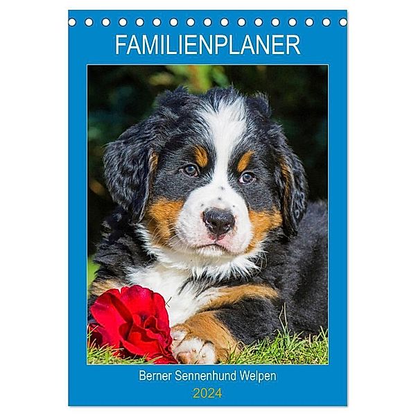 Familienplaner Berner Sennenhund Welpen (Tischkalender 2024 DIN A5 hoch), CALVENDO Monatskalender, Sigrid Starick