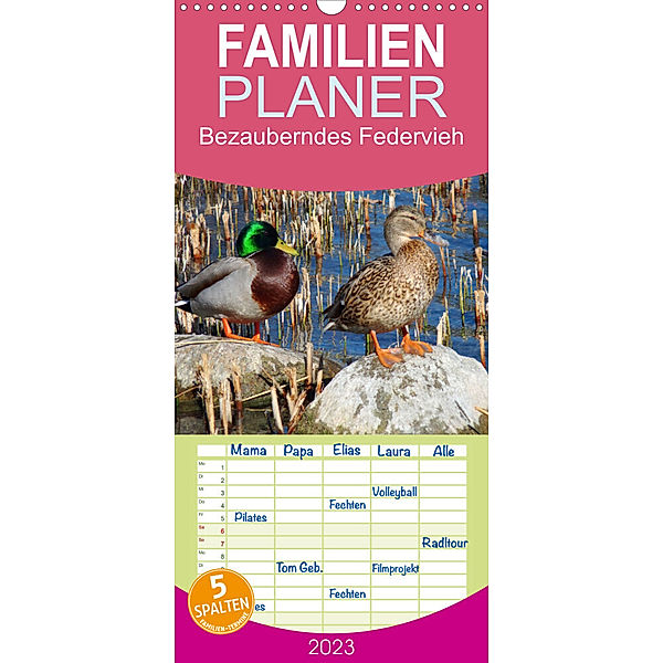 Familienplaner Bezauberndes Federvieh (Wandkalender 2023 , 21 cm x 45 cm, hoch), Gisela Kruse