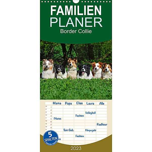 Familienplaner Border Collie 2023 (Wandkalender 2023 , 21 cm x 45 cm, hoch), Sigrid Starick