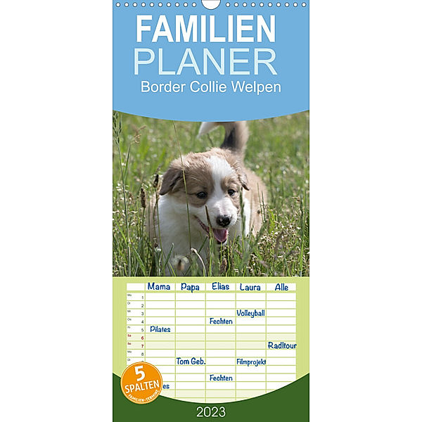 Familienplaner Border Collie Welpen - Kleine Wirbelwinde zum Verlieben (Wandkalender 2023 , 21 cm x 45 cm, hoch), Volko Neitmann