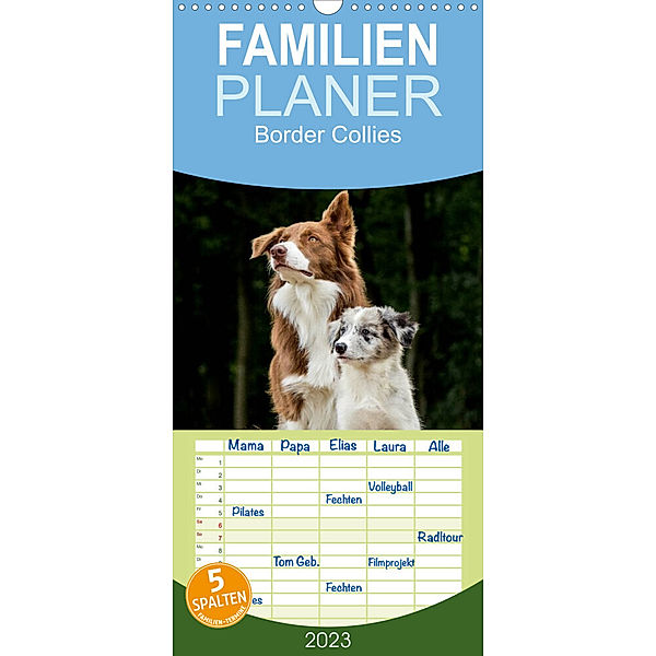 Familienplaner Border Collies 2023 (Wandkalender 2023 , 21 cm x 45 cm, hoch), Christine Hemlep