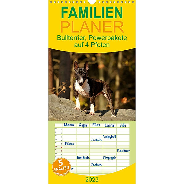 Familienplaner Bullterrier, Powerpakete auf 4 Pfoten (Wandkalender 2023 , 21 cm x 45 cm, hoch), Yvonne Janetzek