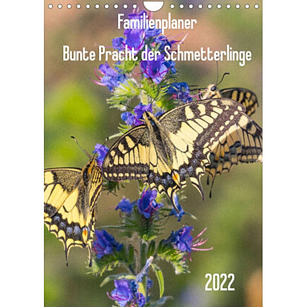 Familienplaner Bunte Pracht der Schmetterlinge (Wandkalender 2022 DIN A4 hoch), Dany´s Blickwinkel