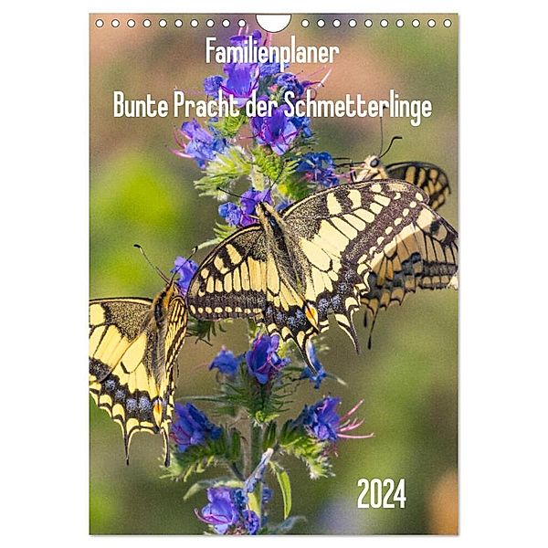 Familienplaner Bunte Pracht der Schmetterlinge (Wandkalender 2024 DIN A4 hoch), CALVENDO Monatskalender, Dany´s Blickwinkel