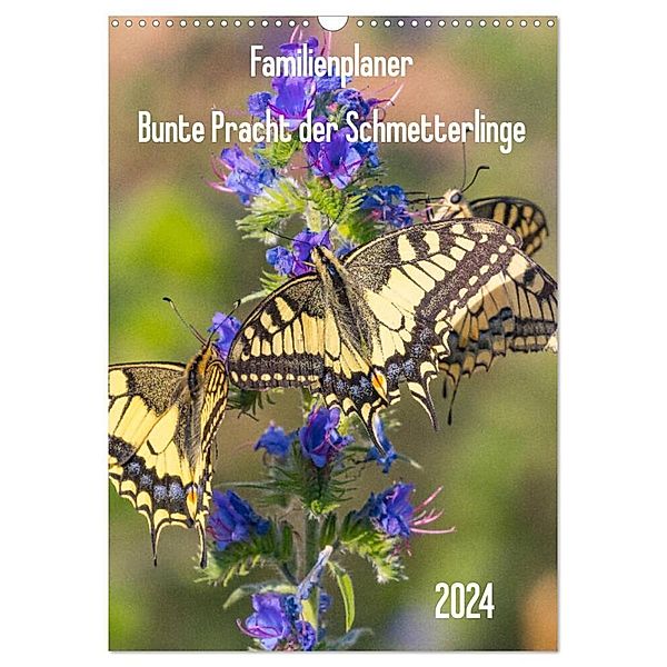 Familienplaner Bunte Pracht der Schmetterlinge (Wandkalender 2024 DIN A3 hoch), CALVENDO Monatskalender, Dany´s Blickwinkel