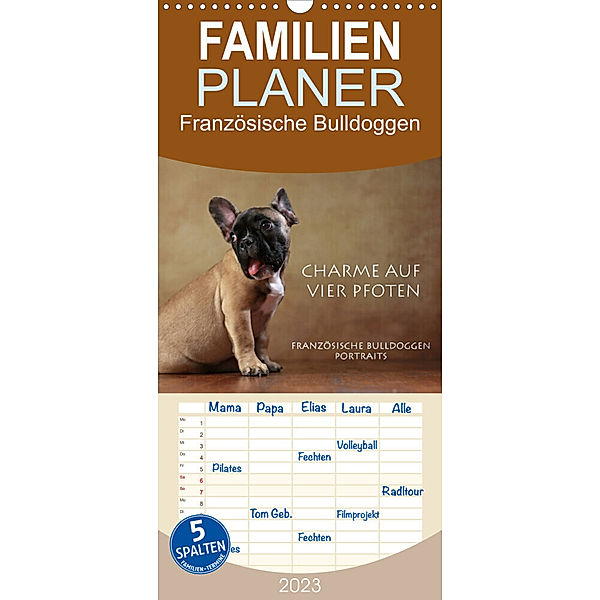 Familienplaner Charme auf vier Pfoten - Französische Bulldoggen Portraits (Wandkalender 2023 , 21 cm x 45 cm, hoch), Jana Behr