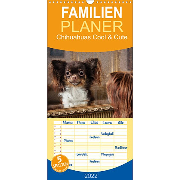 Familienplaner Chihuahuas - Cool and Cute (Wandkalender 2022 , 21 cm x 45 cm, hoch), Oliver Pinkoss Photostorys