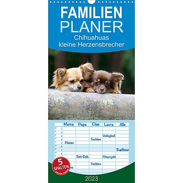Familienplaner Chihuahuas - kleine Herzensbrecher (Wandkalender 2023 , 21 cm x 45 cm, hoch), Verena Scholze