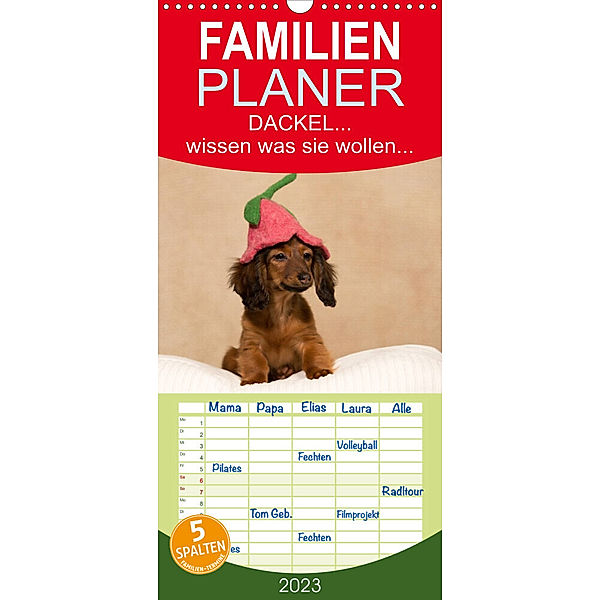 Familienplaner DACKEL... wissen was sie wollen... (und was nicht...) (Wandkalender 2023 , 21 cm x 45 cm, hoch), Annett Mirsberger  tierpfoto.de