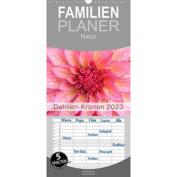 Familienplaner Dahlien-Kronen (Wandkalender 2023 , 21 cm x 45 cm, hoch), Rainer Plett