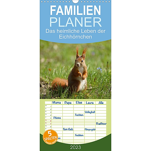 Familienplaner Das heimliche Leben der Eichhörnchen (Wandkalender 2023 , 21 cm x 45 cm, hoch), Kattobello