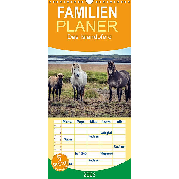 Familienplaner Das Islandpferd (Wandkalender 2023 , 21 cm x 45 cm, hoch), Hannah Krämer