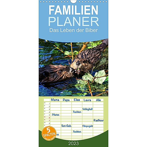 Familienplaner Das Leben der Biber (Wandkalender 2023 , 21 cm x 45 cm, hoch), Kattobello