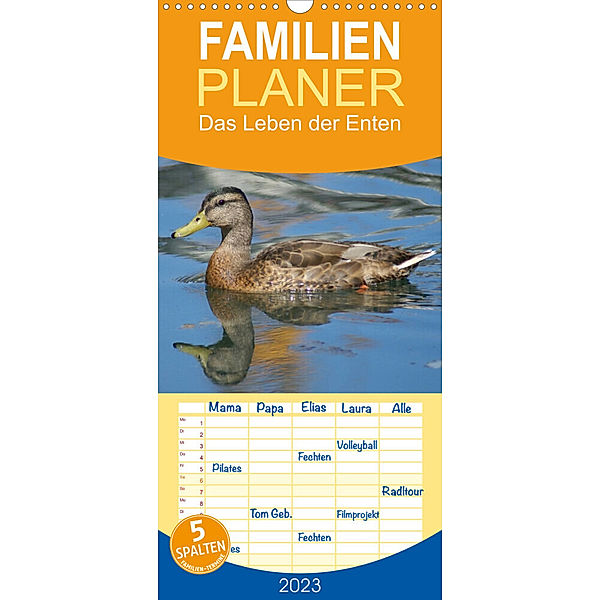 Familienplaner Das Leben der Enten (Wandkalender 2023 , 21 cm x 45 cm, hoch), Kattobello