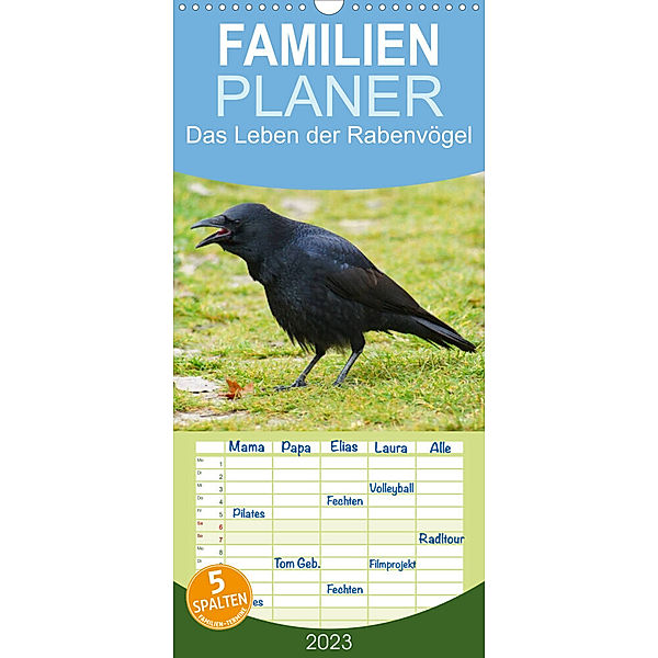 Familienplaner Das Leben der Rabenvögel (Wandkalender 2023 , 21 cm x 45 cm, hoch), Kattobello