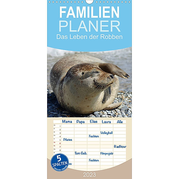 Familienplaner Das Leben der Robben (Wandkalender 2023 , 21 cm x 45 cm, hoch), Kattobello