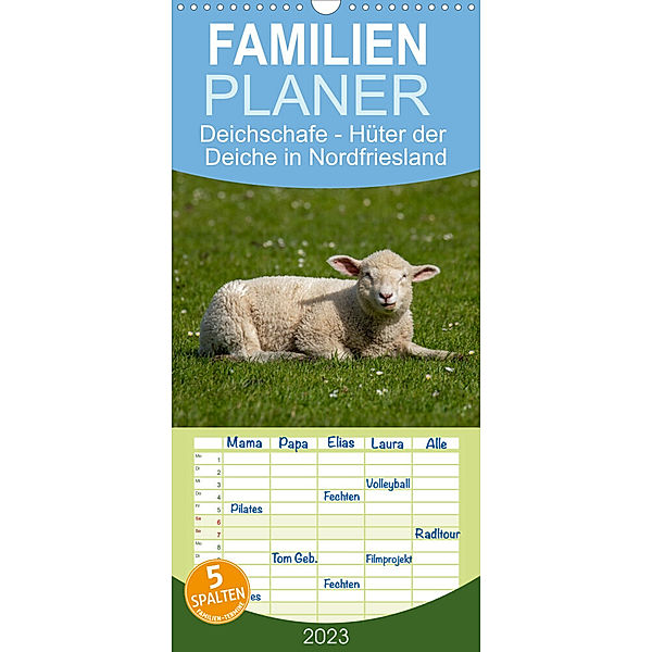 Familienplaner Deichschafe - Hüter der Deiche in Nordfriesland (Wandkalender 2023 , 21 cm x 45 cm, hoch), Manuela Falke